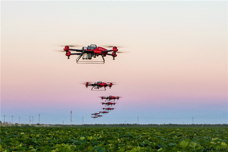 1500342257697793.jpg 636137663683488494777.jpg