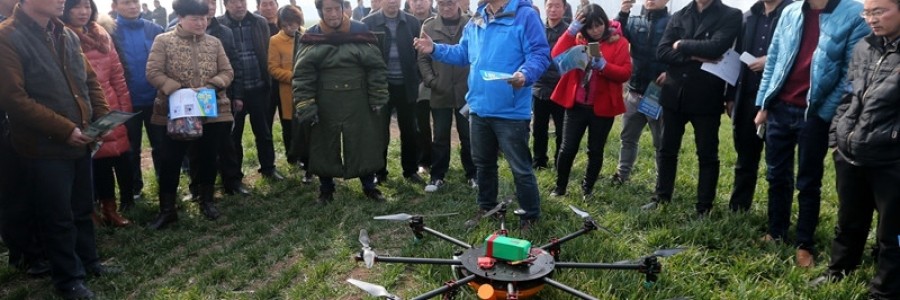 什么樣的航空植保企業(yè)才能主導(dǎo)市場？